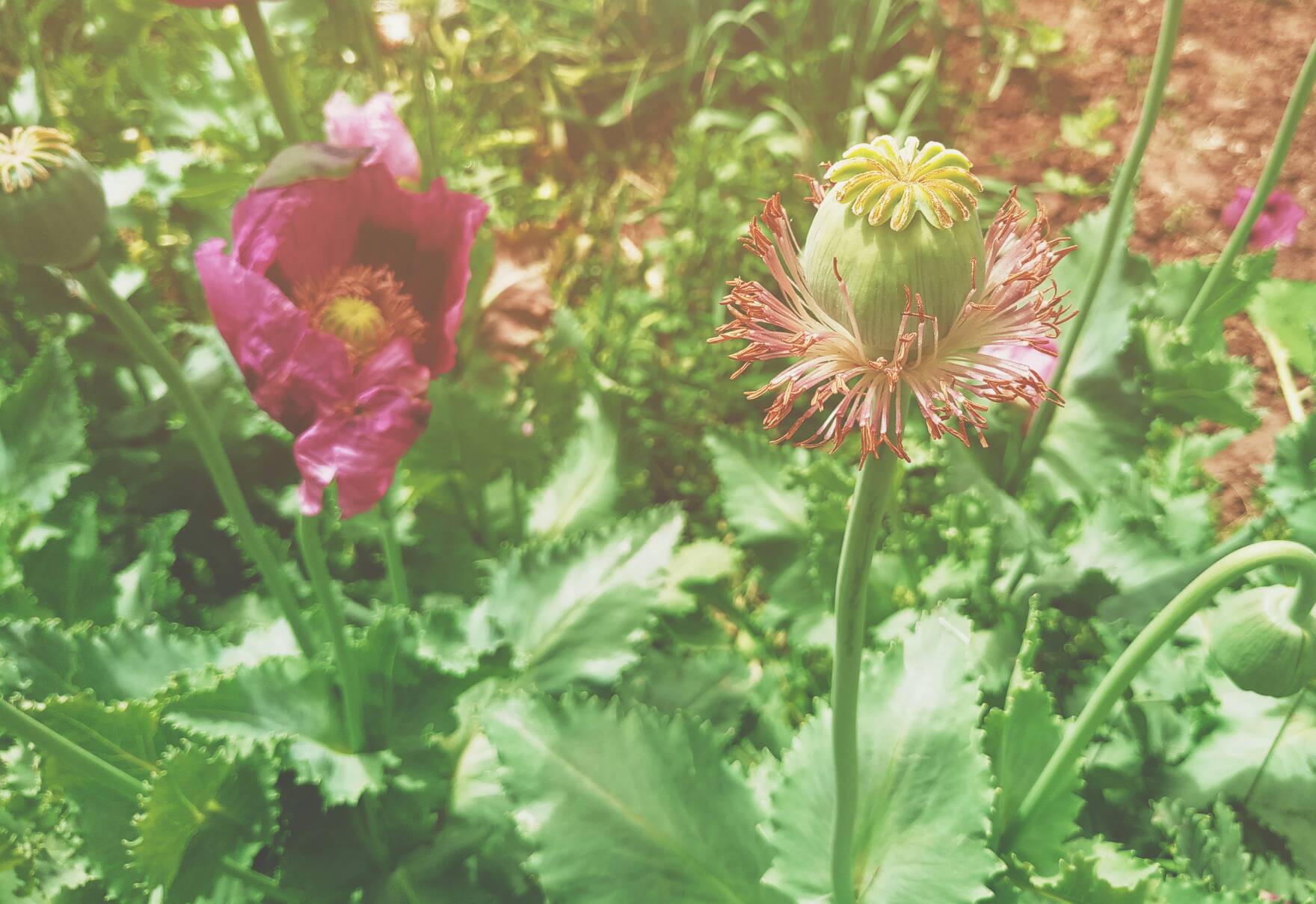 mx6拍照还是不错的-mx6-魅族社区