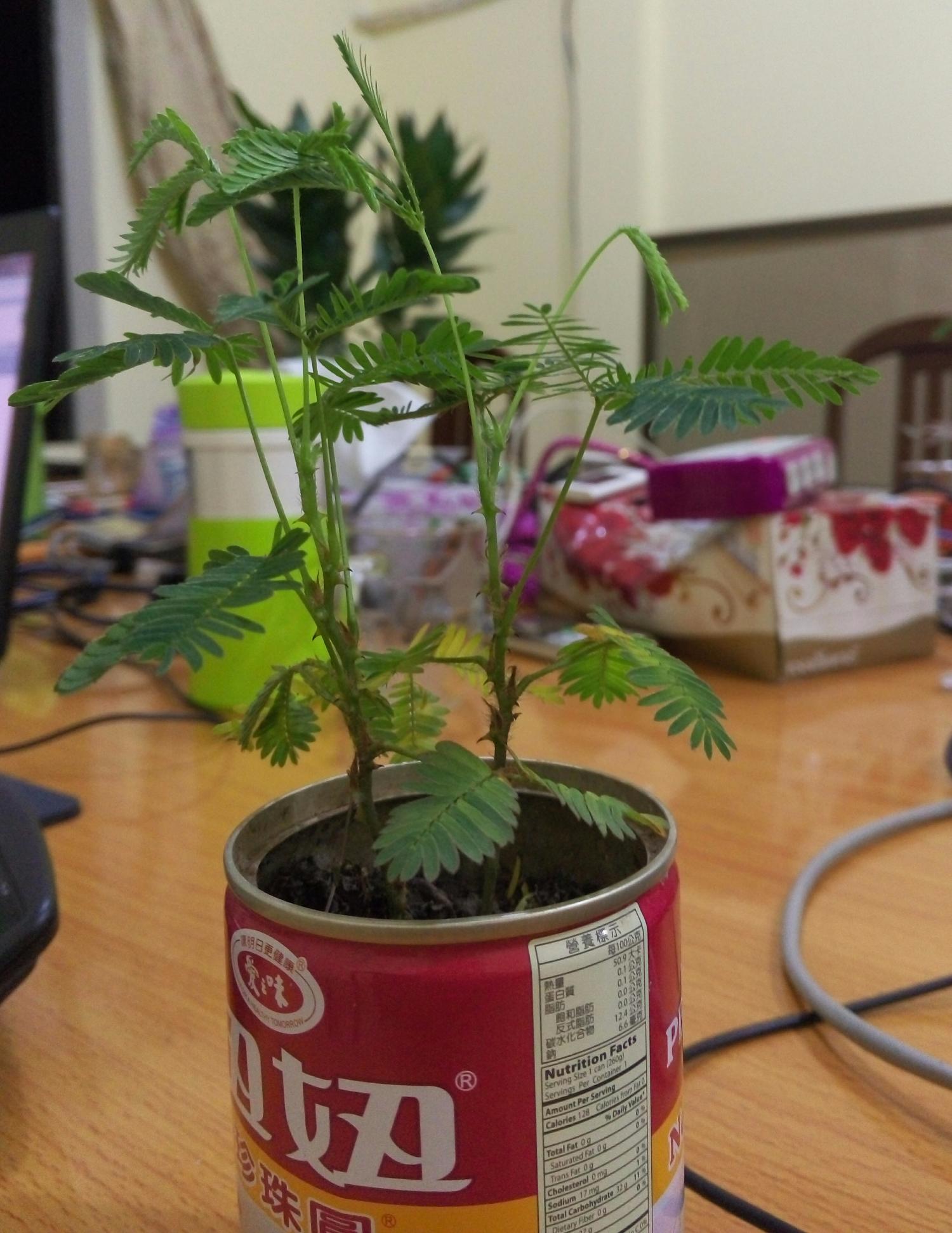 照相大师从不用p图软件 呵呵