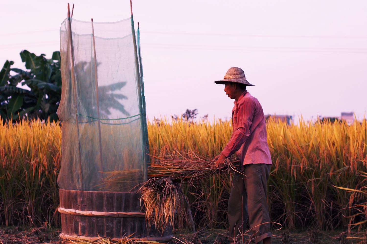 平凡青年平凡图