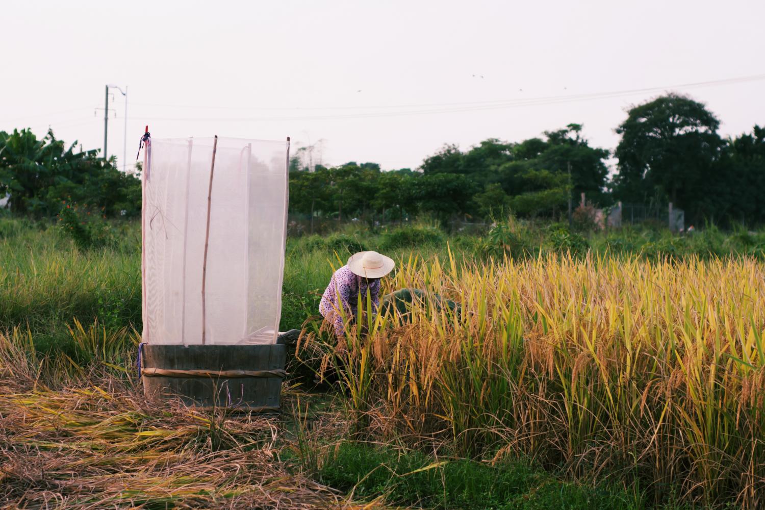 平凡青年平凡图