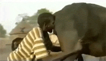 告诉你什么才叫吹牛逼.gif