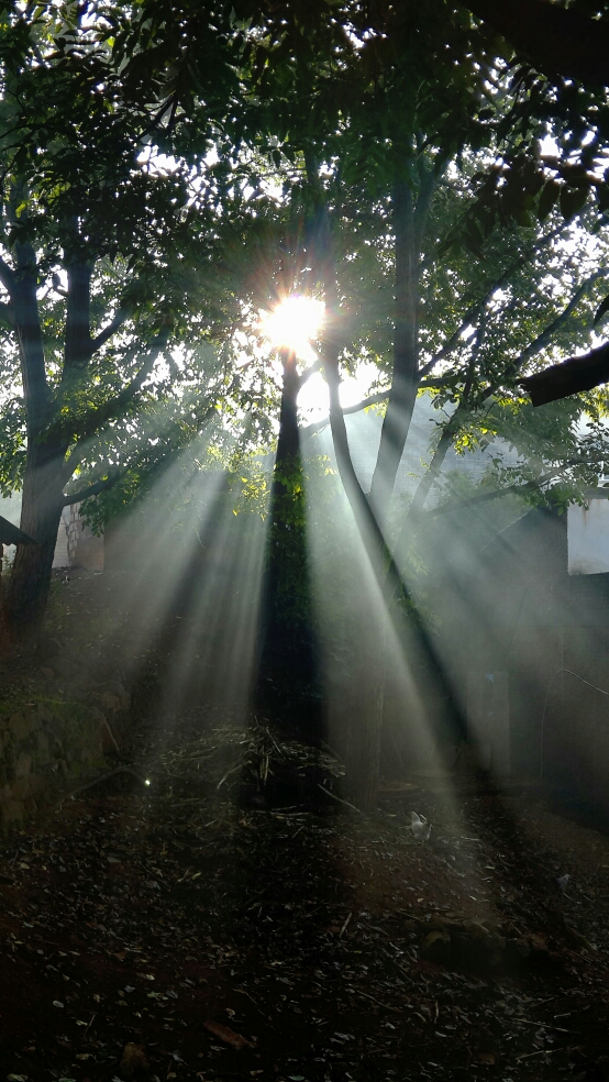 灵光一现-摄影天地-魅族社区