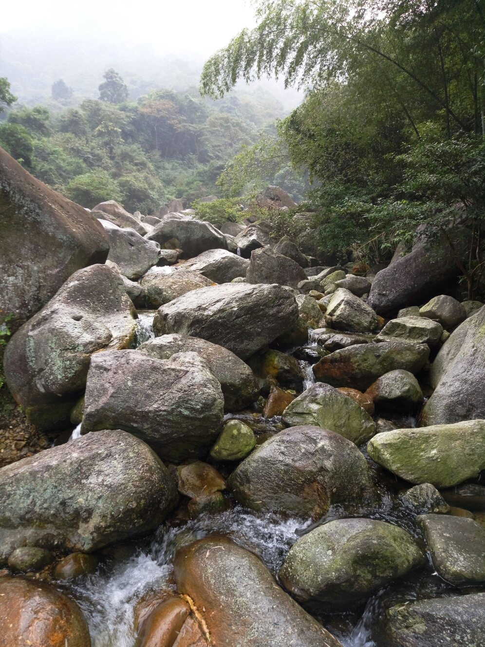美丽卢溪-摄影天地-魅族社区