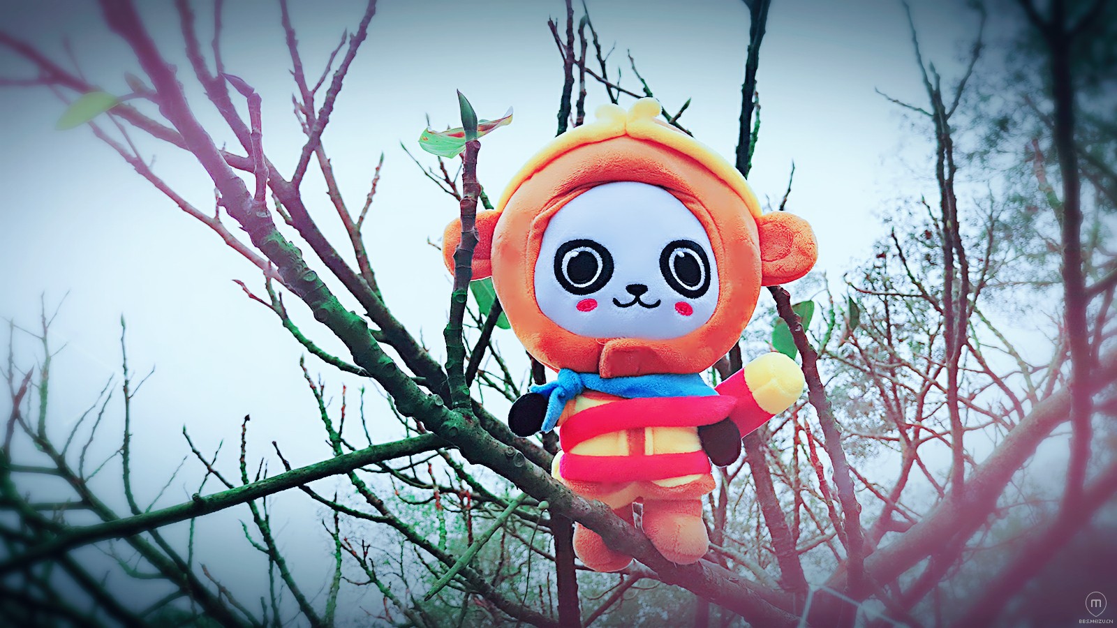 作为上次轰趴的吉祥物,本次聚会显得格外抢镜