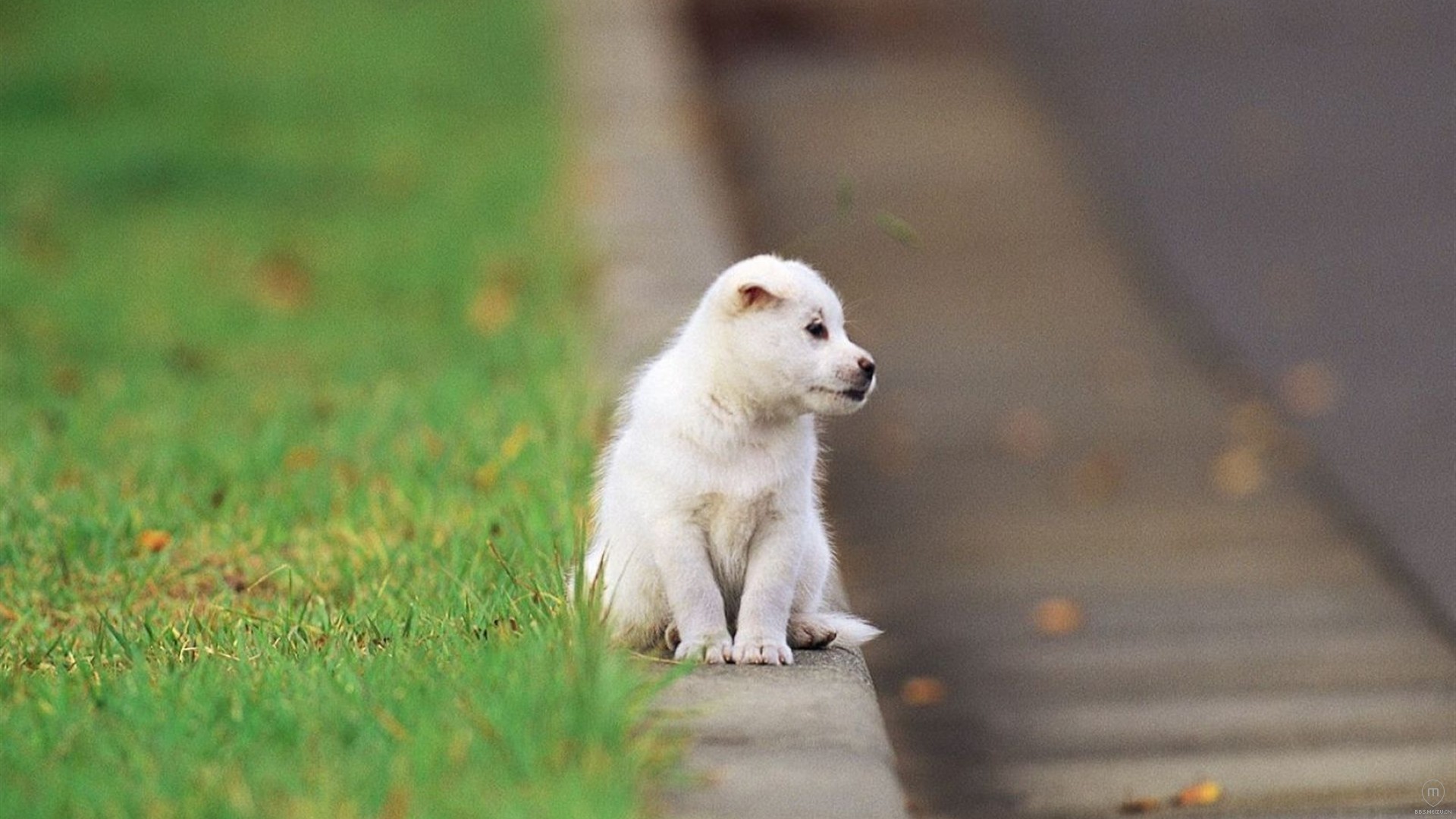 哈哈哈哈啊哈哈哈啊哈哈-综合讨论-魅族社区