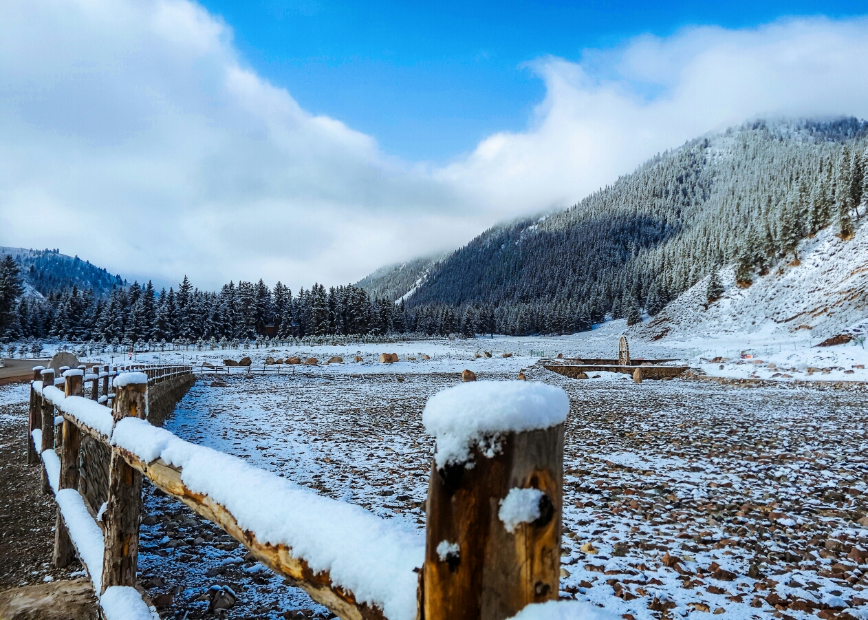 「中国节mx4pro西行冬景」-摄影天地-魅族社区