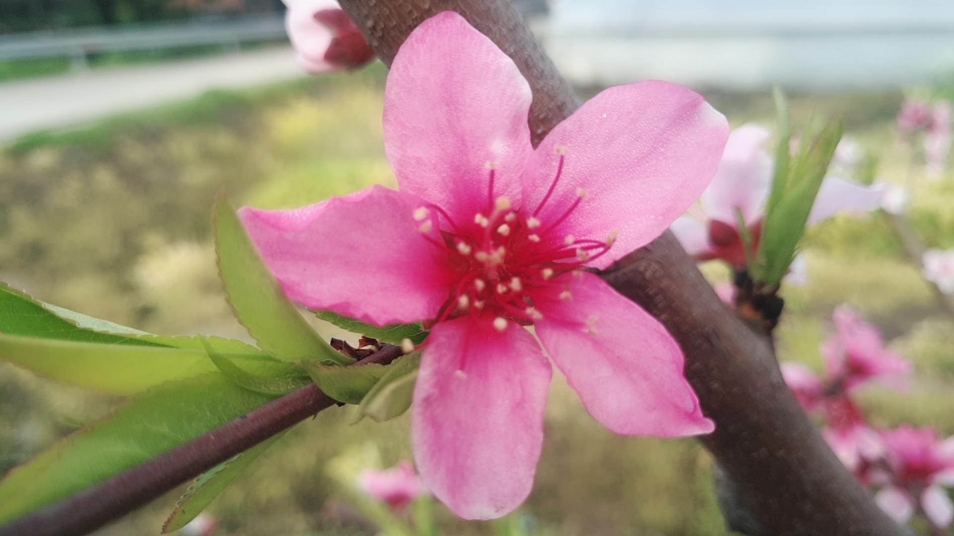 魅族-摄影天地-魅族社区
