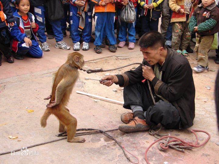 af4de839728a18c4c1563fbf2b769e1f_8d5494eef01f3