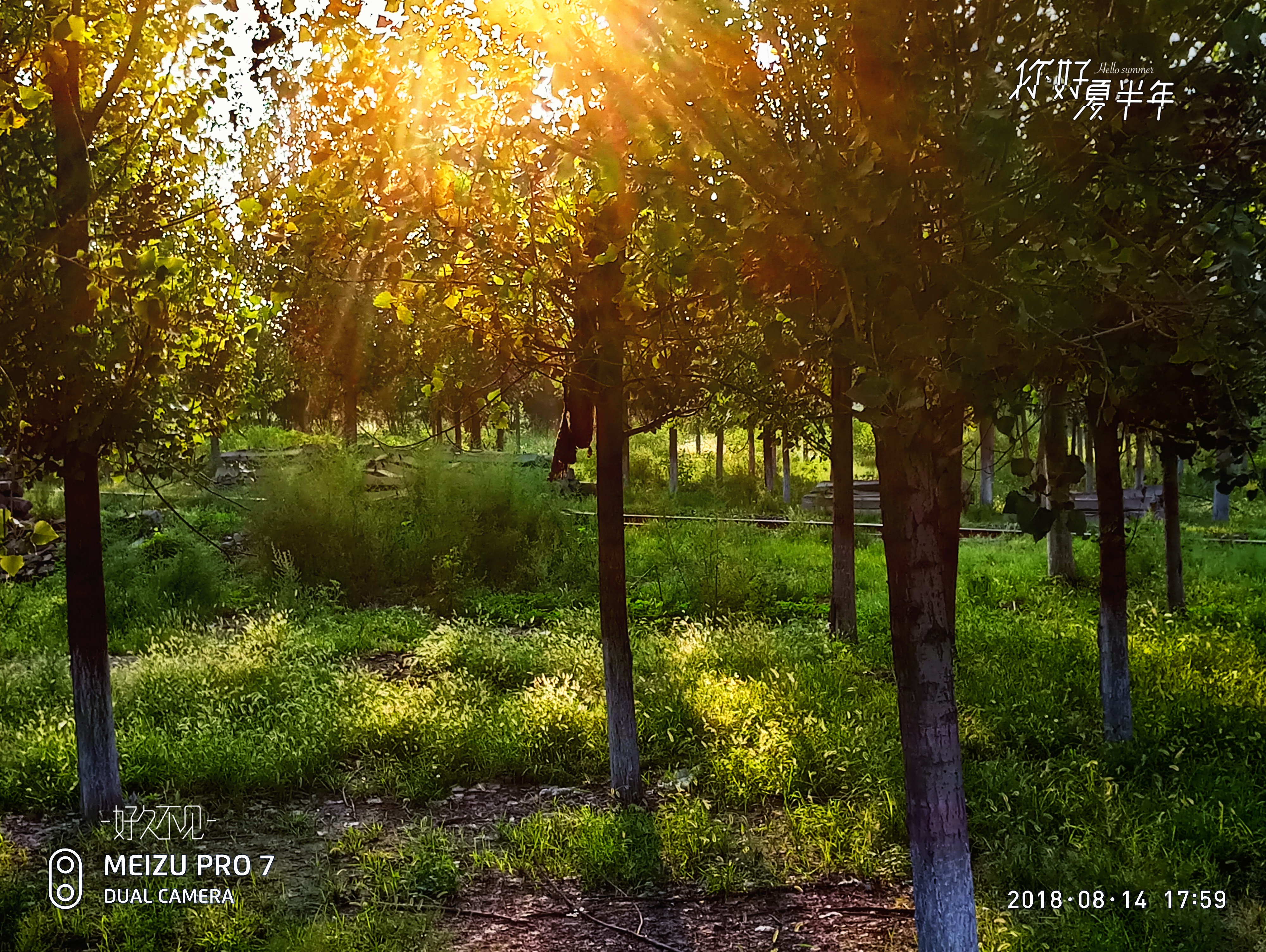 傍晚的阳光-摄影天地-魅族社区