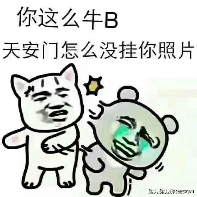 雷猴王都不如你呀