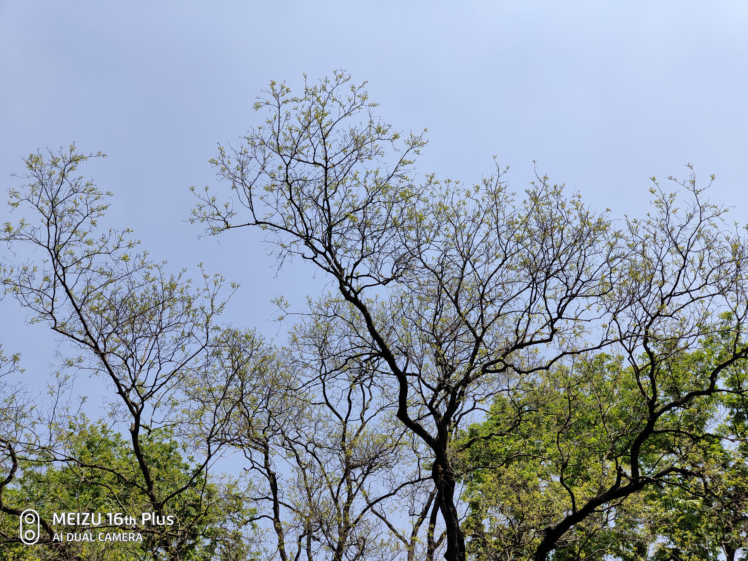 16th plus拍照-综合讨论-魅族社区